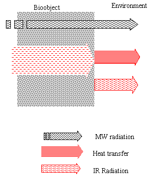 5.gif (3937 bytes)