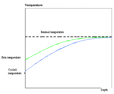 6.gif (2644 bytes)