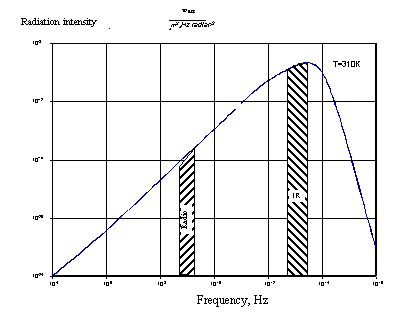 7.gif (4749 bytes)
