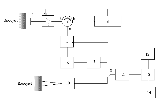 8.gif (3268 bytes)
